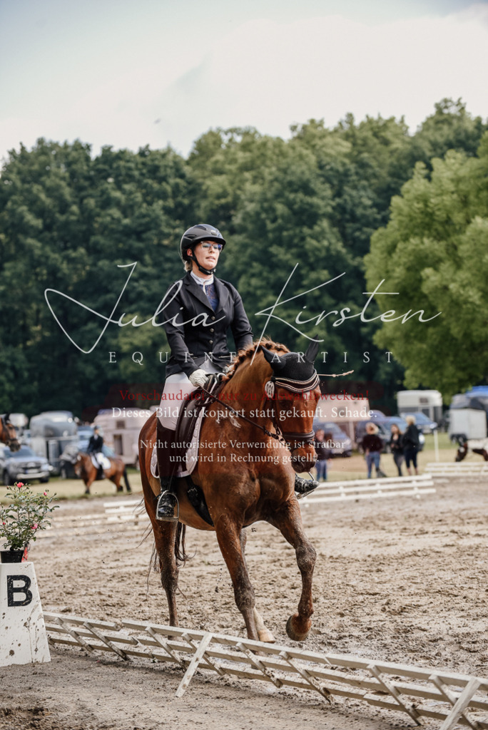 DSC_8967 | Pferde- und Turnierfotografie in Westsachsen. Pferdeportraits, Auftragszeichnungen und intuitive Kunst.