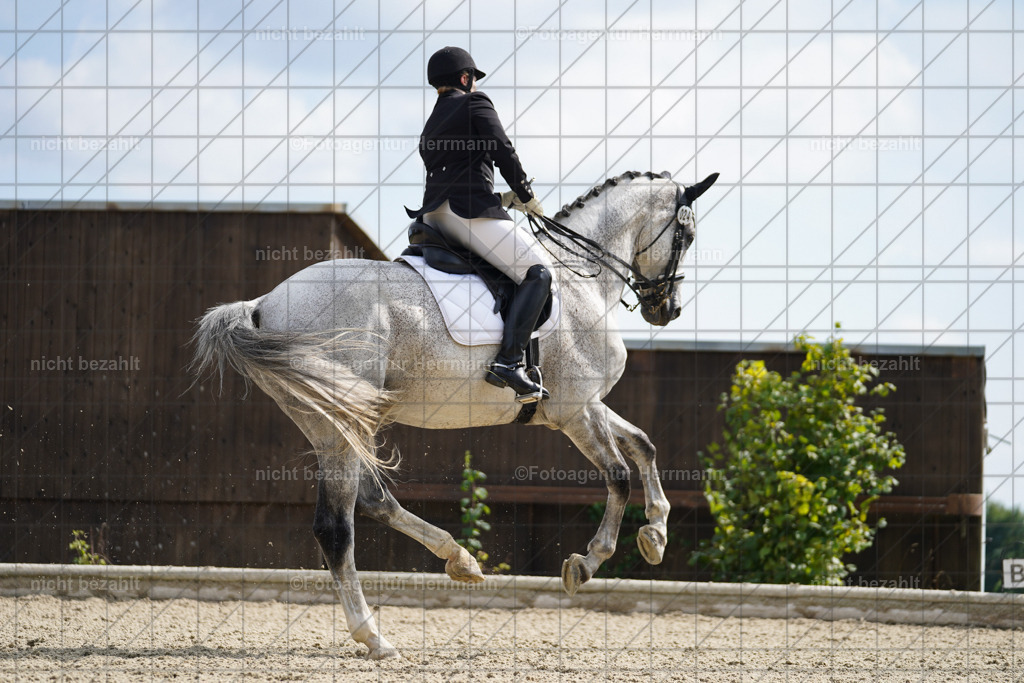 20230826-FAH05972 | Forstinning, 2023, Dressurturnier, Turniersportbilder, Turnierfotografen Bayern, Fotoagentur Herrmann, Reitsportfotografie, Turnierbilder