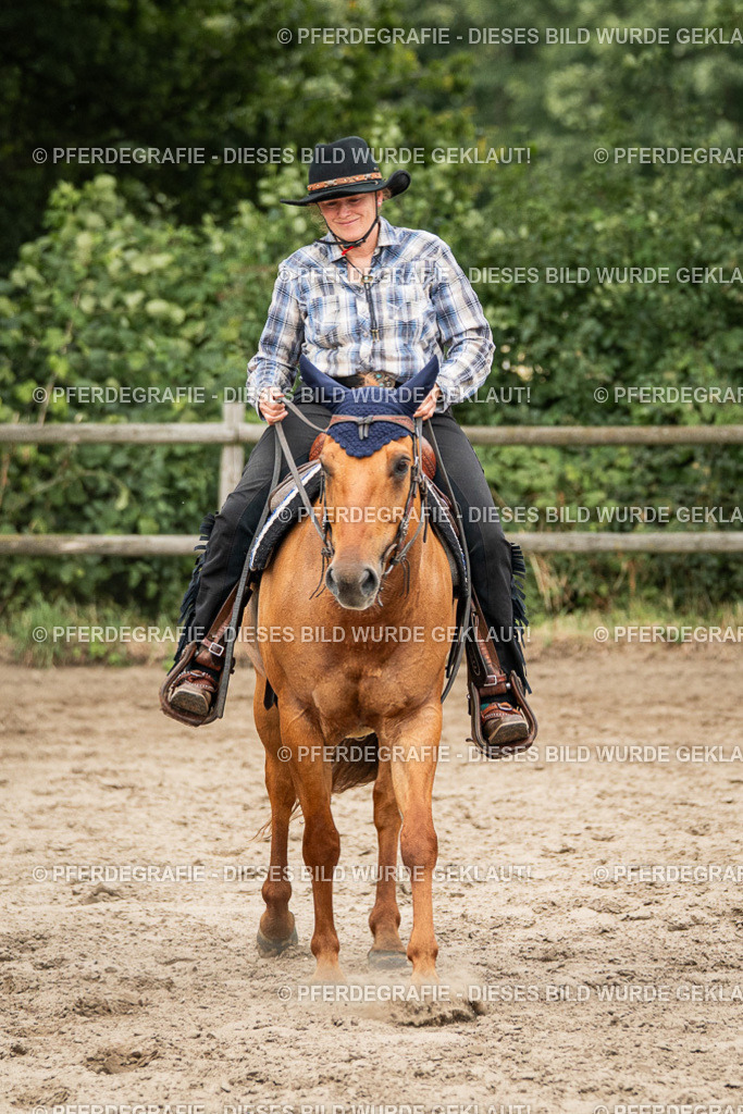 DSC03620 | Pferdegrafie