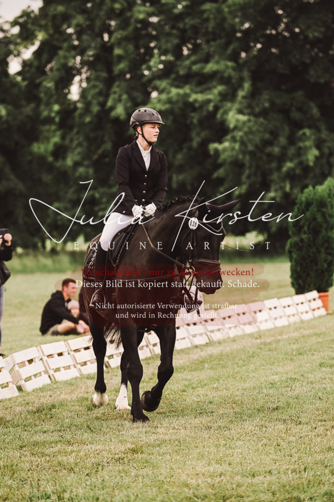 DSC_5087 | Pferde- und Turnierfotografie in Westsachsen. Pferdeportraits, Auftragszeichnungen und intuitive Kunst.