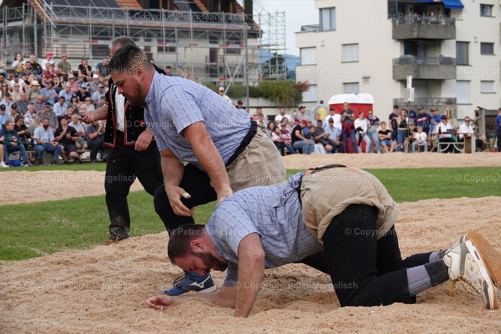 DSC08512 | Schwingen - Realisiert mit Pictrs.com