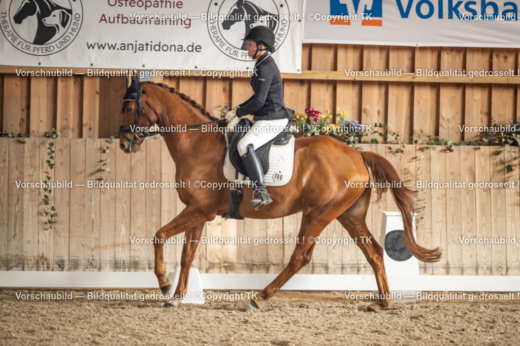 _D5A1153 | Emotionale Pferde- & People-Fotografie rund um Heidelberg, Leimen & Umgebung. Natürliche Fotos von Pferd, Mensch & Familie. Jetzt Termin sichern!