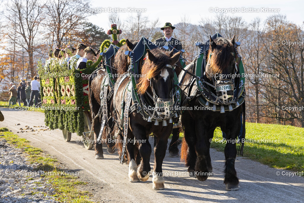 LBT24-1311 | foto-bettina-krinner - Realisiert mit Pictrs.com