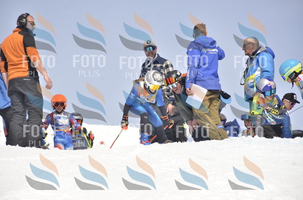 _ELE8898 | holidayphoto