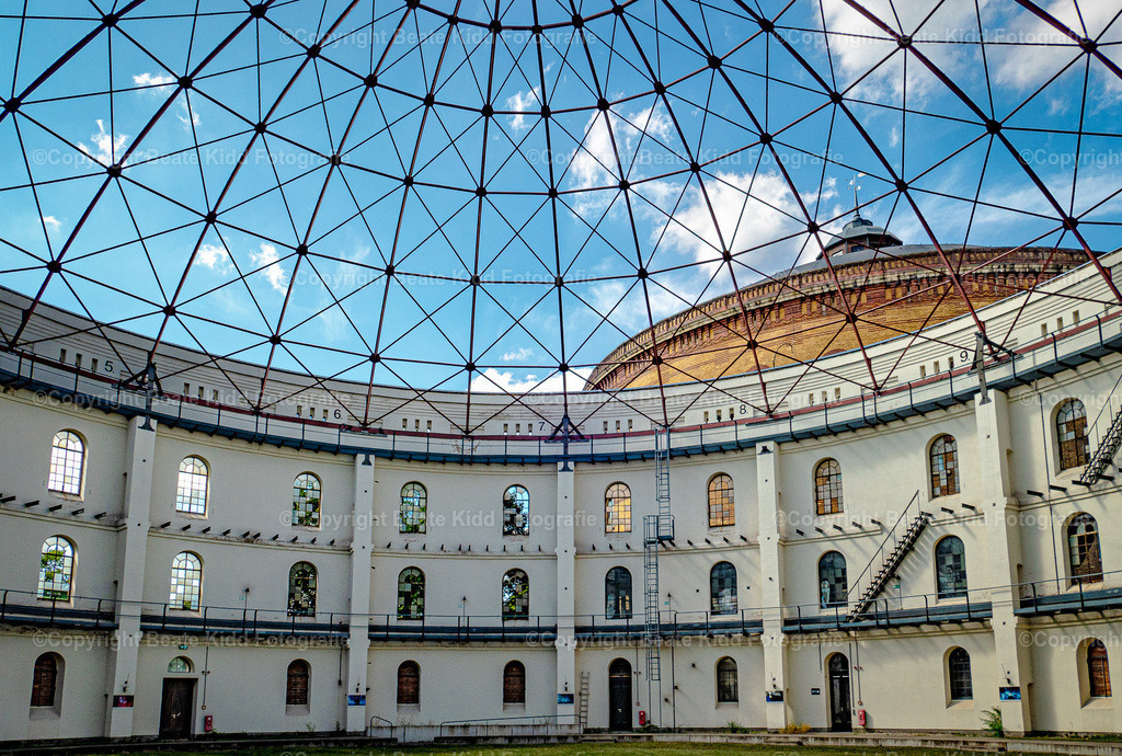 P2010161 | beatekidd-fotografie - Realisiert mit Pictrs.com