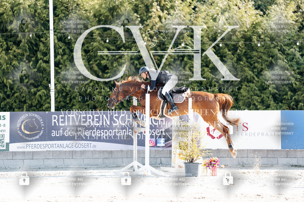 CK901765 | Turnierfotografie Pferdefotografie Trier Rheinland-Pfalz Pferdesport Reitsport Tierfotografie Sportfotografie Pferdevideo Pferdevideografie Equestrianvideography equestrianphotography  - Realisiert mit Pictrs.com