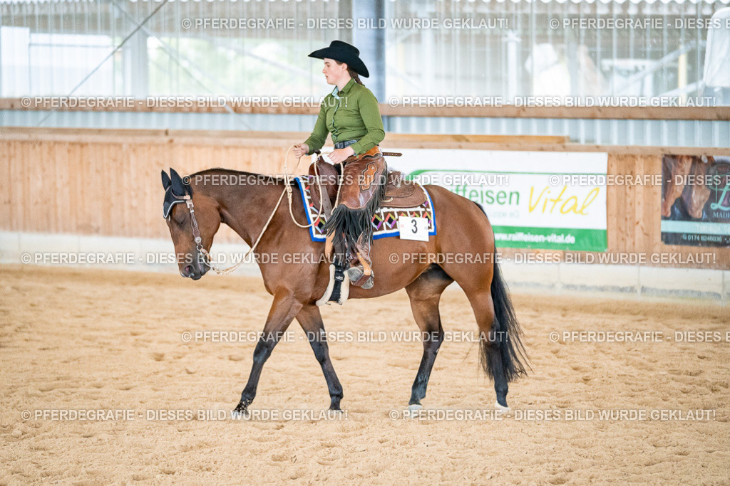 DSC02858 | Pferdegrafie