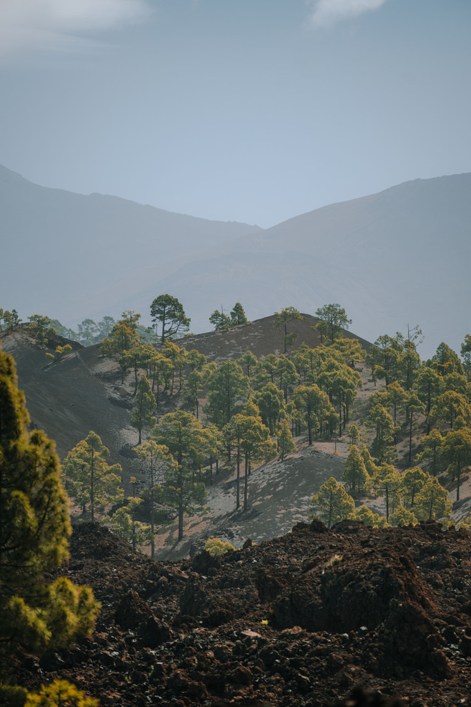 Teneriffa_by Leevke Draack_41 | Du suchst natürliche und atmosphärische Prints oder Leinwanddrucke? In diesem Shop gibt es alles, nur kein Mainstream. - Realisiert mit Pictrs.com