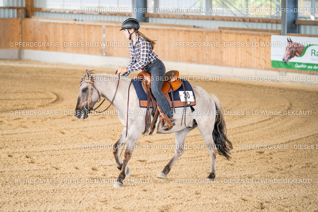 DSC01830 | Pferdegrafie