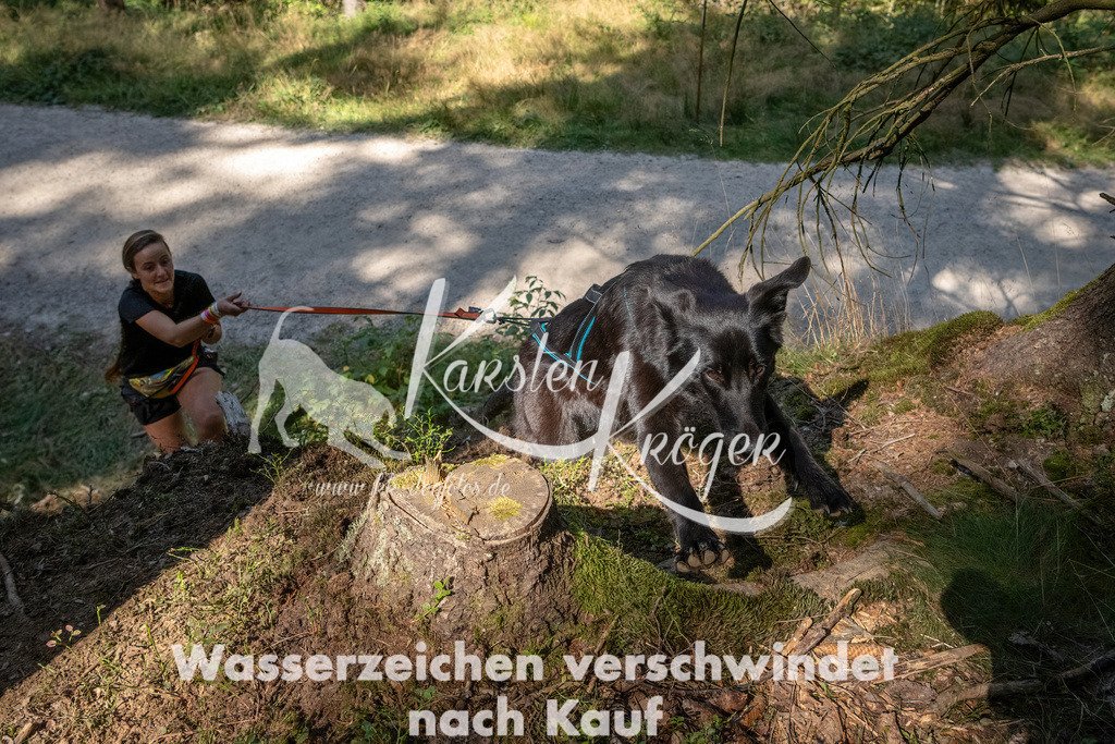 1241_ZZ94838 | kk-dogfotos