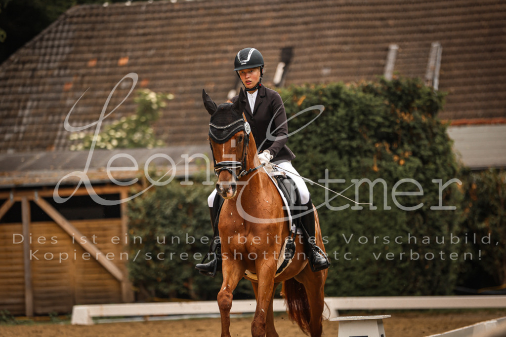 DoDrA200015 | Leoni Ertmer Photography - Realisiert mit Pictrs.com