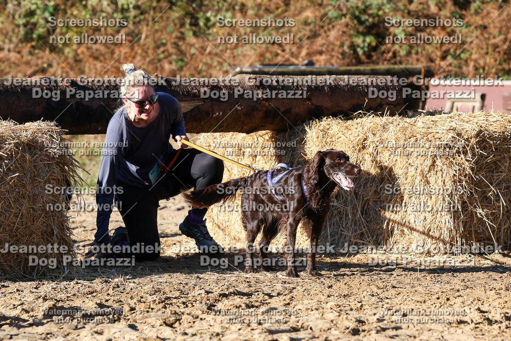 Dog Paparazzi - Strongdog 10-25-1760 | Dog Paparazzi Jeanette Grottendiek Fotografie & Videografie - Realisiert mit Pictrs.com