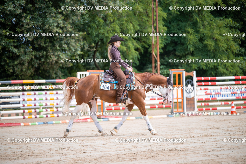 ZS3_5019 | dv-media-shop - Realisiert mit Pictrs.com