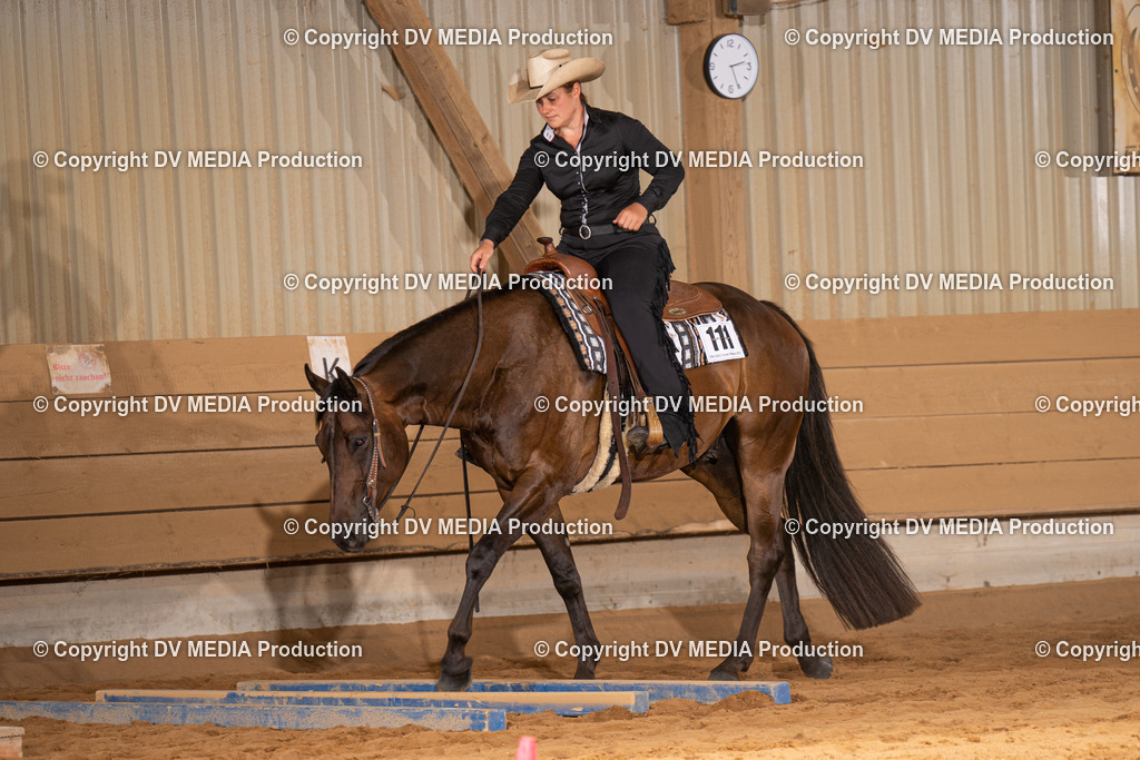 NID00623 | dv-media-shop - Realisiert mit Pictrs.com