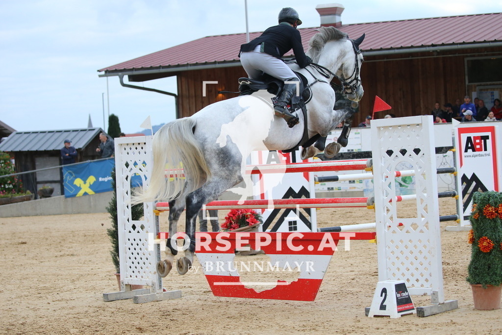 DL2Q6215 | Willkommen bei Brunnmayr - Design & Fotografie – Ihrem Spezialisten für Reitturniere und Pferdeveranstaltungen in Oberösterreich, Salzburg und Bayern! Seit über 17 Jahren sind wir leidenschaftlich dabei.