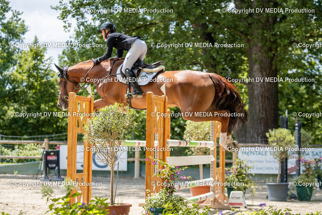 Hessische Tag 1-488 | dv-media-shop - Realisiert mit Pictrs.com