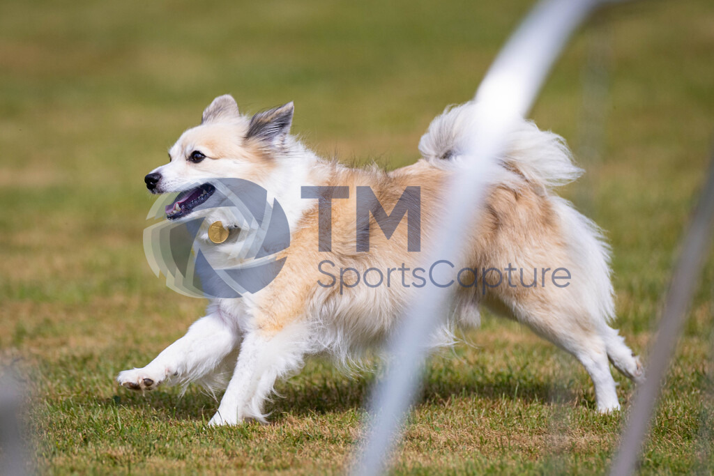 TP-20240815-0140 | Copyright: Trainproduction / Matthias Trinkl