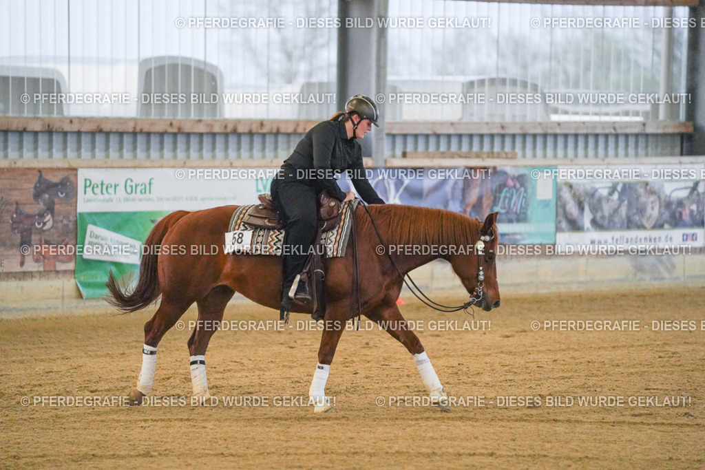 DSC09329 | Pferdegrafie