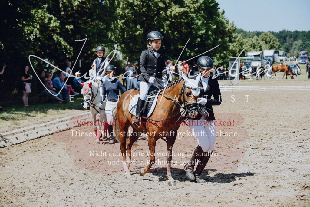 DSC_2462 | Pferde- und Turnierfotografie in Westsachsen. Pferdeportraits, Auftragszeichnungen und intuitive Kunst.