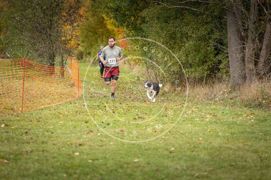 Pfotenfotografie_DV3A4318 | Hundefotografie, Tierfotograf, Pfotenfotografie, Fotoshooting Hund, Hunde Portrait, Hundesport, Hundeportraits, Heideshooting, Hunde, Sportfotograf, Hundefotograf, Turnierhundsport, THS,  - Realisiert mit Pictrs.com