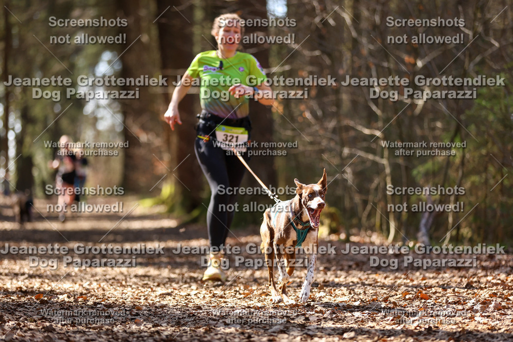 Dog Paparazzi - VCC26-1301 | Dog Paparazzi Jeanette Grottendiek Fotografie & Videografie - Realisiert mit Pictrs.com