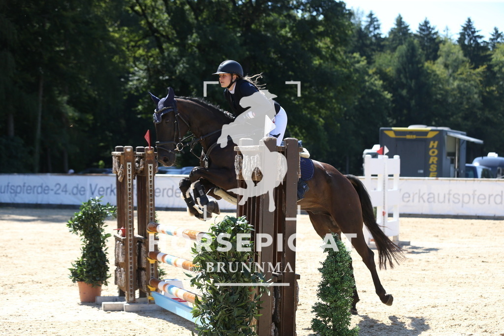 DL2Q9706 | Willkommen bei Brunnmayr - Design & Fotografie – Ihrem Spezialisten für Reitturniere und Pferdeveranstaltungen in Oberösterreich, Salzburg und Bayern! Seit über 17 Jahren sind wir leidenschaftlich dabei.