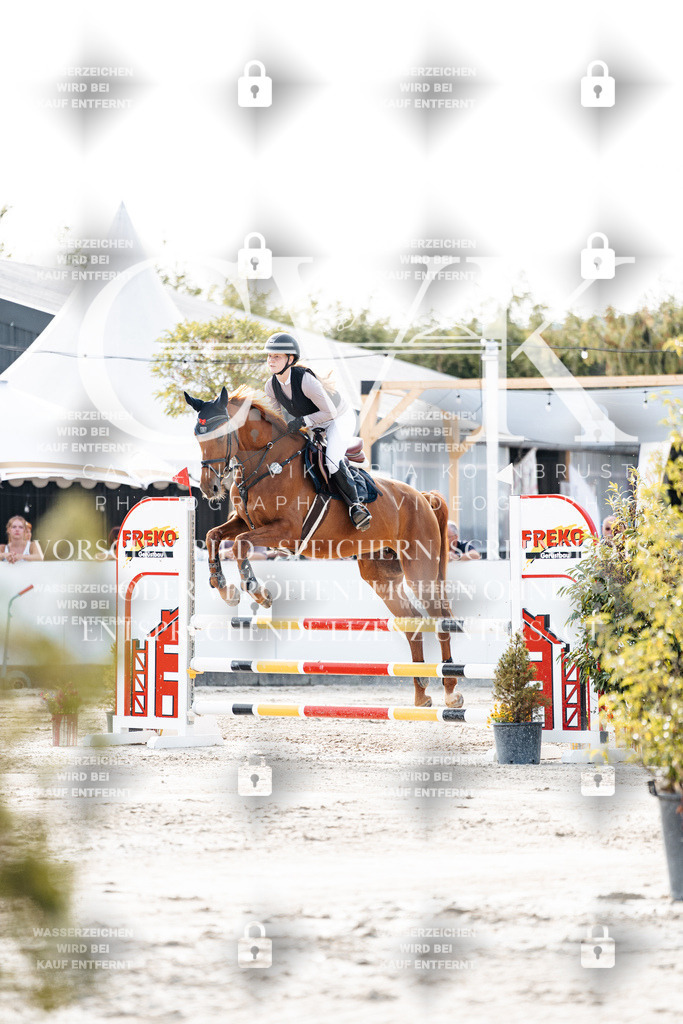 CK906341 | Turnierfotografie Pferdefotografie Trier Rheinland-Pfalz Pferdesport Reitsport Tierfotografie Sportfotografie Pferdevideo Pferdevideografie Equestrianvideography equestrianphotography  - Realisiert mit Pictrs.com