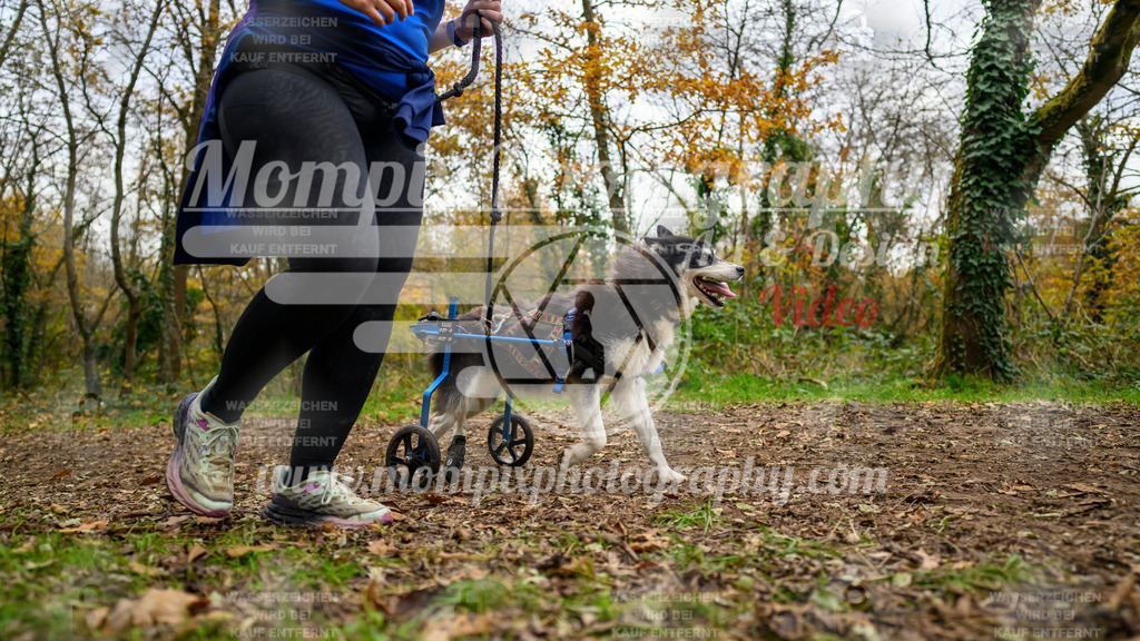 MompixPhotography_Bischwiller24_DI_CoursedeRelais-129 | PayLife