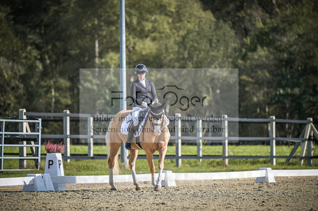 DOS_2127 | Entdecke hochwertige Reitturnierfotos von Foto Oger. Professionell, emotional und authentisch – jetzt Lieblingsmomente im Shop bestellen.Deutschlandweite Turnierfotografie. - Realisiert mit Pictrs.com