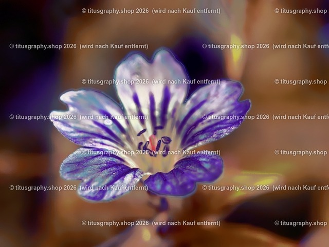 titusgraphy-P6080430_var-099 | Fotokunstarbeit aus der INSTAGRAM-Gallerie auf titusgraphy.eu - Realisiert mit Pictrs.com