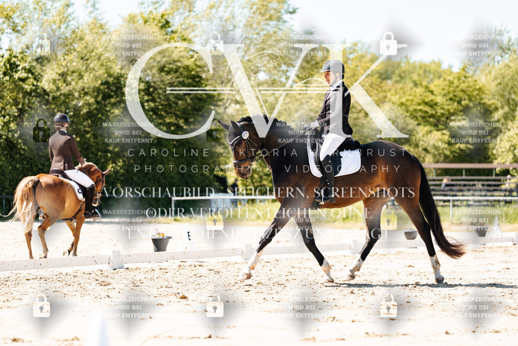 CK905409 | Turnierfotografie Pferdefotografie Trier Rheinland-Pfalz Pferdesport Reitsport Tierfotografie Sportfotografie Pferdevideo Pferdevideografie Equestrianvideography equestrianphotography  - Realisiert mit Pictrs.com