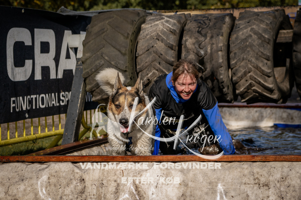 1306_ZZ91985 | kk-dogfotos