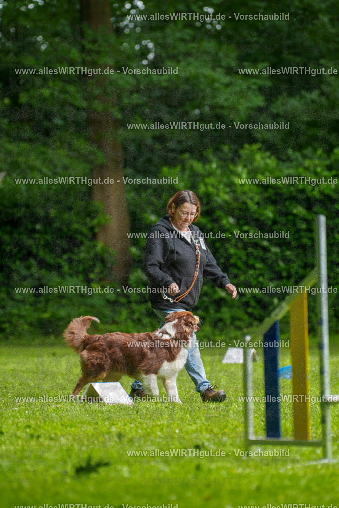 @allesWIRTHgut_Tierfotografie - www.allesWIRTHgut.de - 094426-7R507519 | Professionelle Tierfotografie in Mönchengladbach von Daniel Wirth (allesWIRTHgut). Liebevolle & natürliche Bilder von Hunden & Katzen für unvergessliche Erinnerungen.