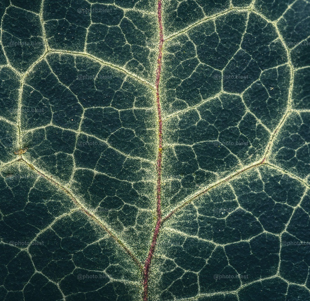IMGC1043 | photobiest - Realisiert mit Pictrs.com