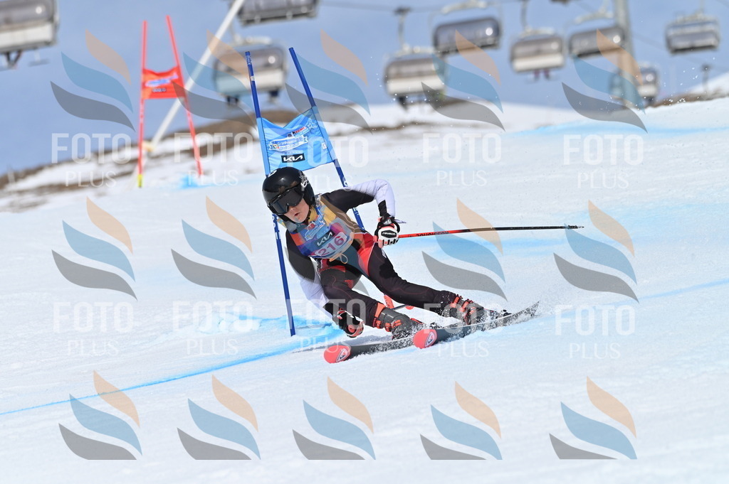 BGV_1243 | holidayphoto