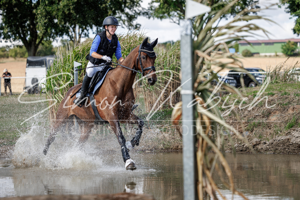 20260905-_3LI9636 | Tierfotografie Pferde, Hunde, Katzen, Haustiere.
Turnierfotografie Reitturniere, Reiten, Springreiten, Dressur in Hanau, dem Main-Kinzig-Kreis und dem Rhein-Main- Gebiet um Frankfurt