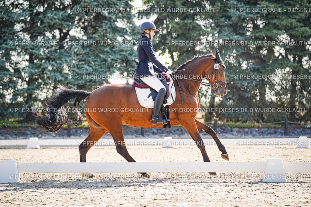 DSC09236 | Pferdegrafie