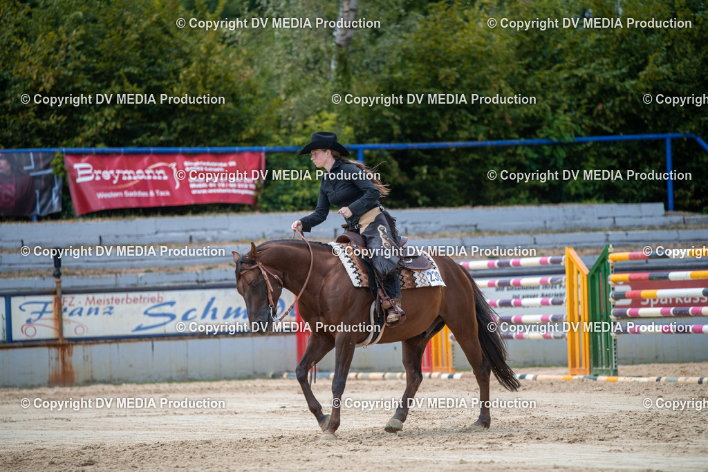 ZS3_9837 | dv-media-shop - Realisiert mit Pictrs.com