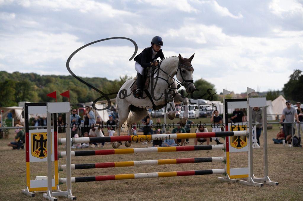 A7V09756 | Pferdefotograf