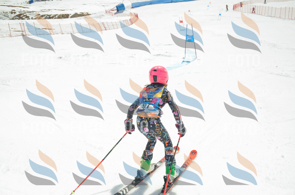 _ELE5749 | holidayphoto