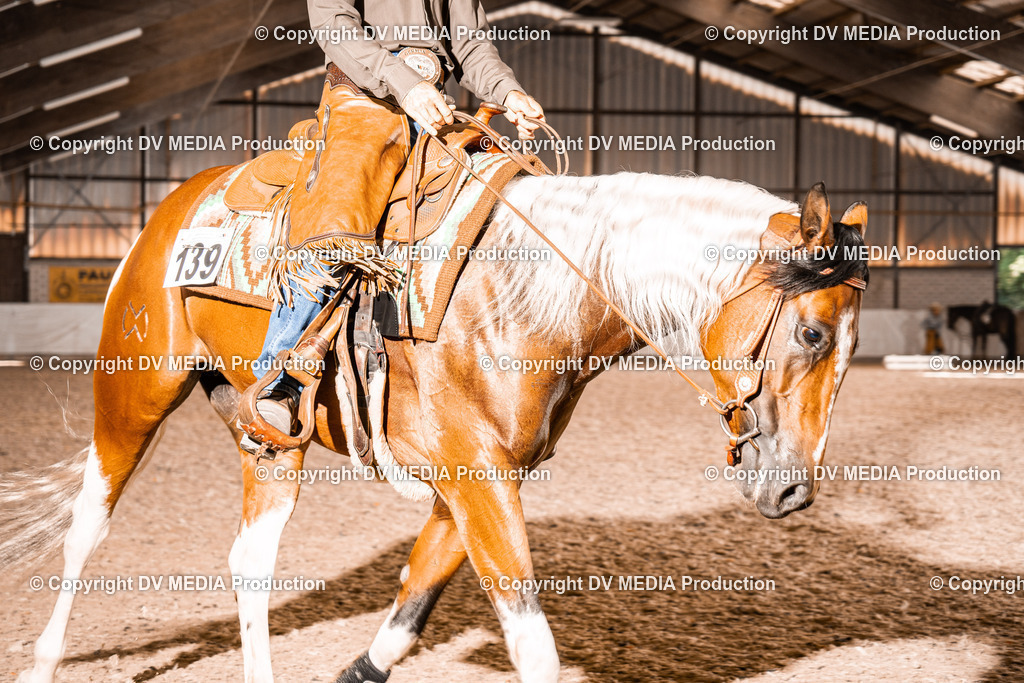 ZH100566 | dv-media-shop - Realisiert mit Pictrs.com