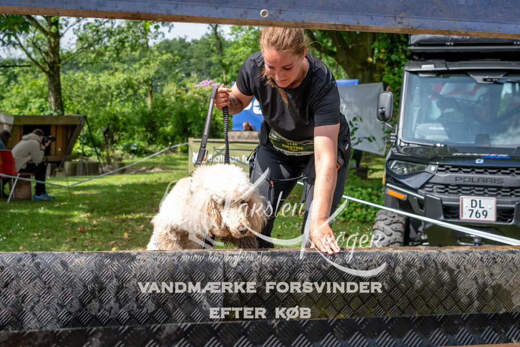 1042_ZZ91771 | kk-dogfotos