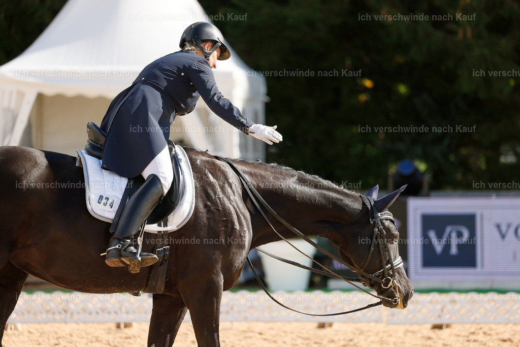 09_2-034-DRESSUR  S_  -StoibPH-5827 | working equitationturnier fotograf videograf stoibphotography marixx film working equitation deutschland reitsport turnierfotografie eventfotografie equestrian events