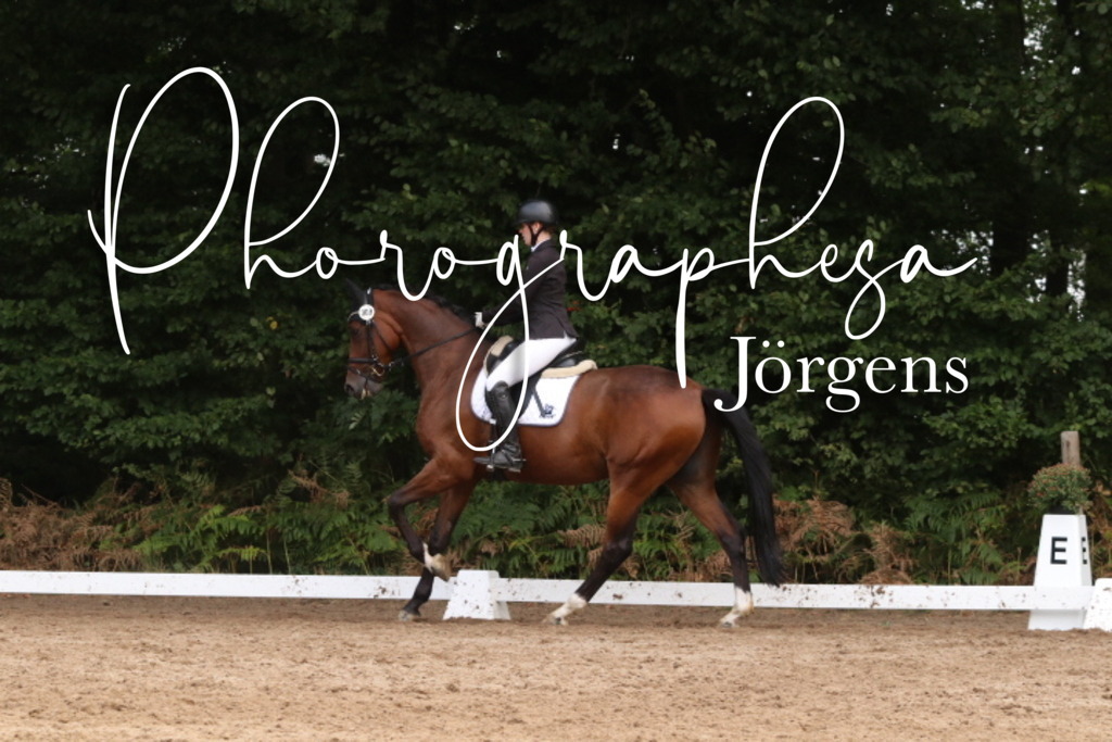 IMG_0096 | photographesa-joergens - Realisiert mit Pictrs.com