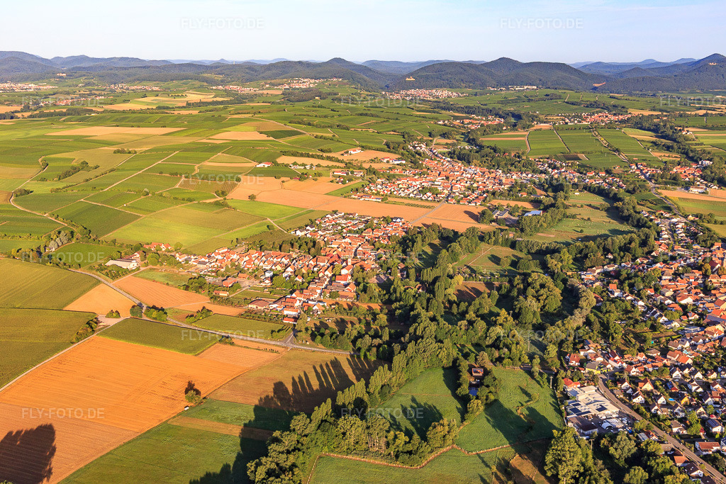 Luftbild: Ortsansicht von Nordosten im Ortsteil Mühlhofen in Billigheim-Ingenheim im Bundesland Rheinland-Pfalz in Deutschland. Foto: IMG_116655.jpg vom 11.08.2019 durch Werner Riehm/FLY-FOTO.de