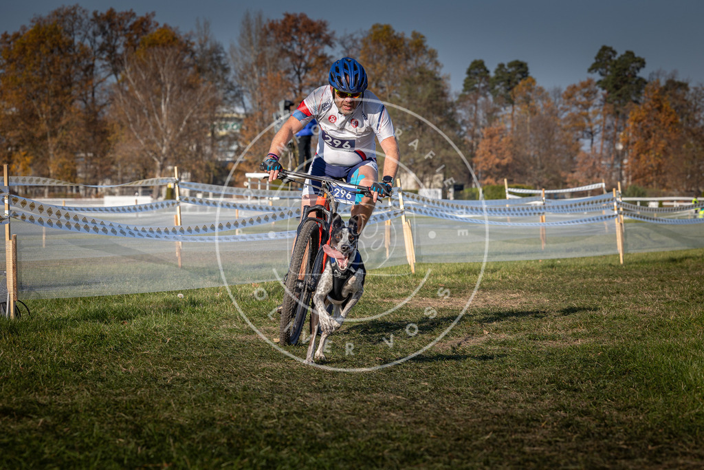 CaniXpix_0L8A7503 | Hundefotografie, Tierfotograf, Pfotenfotografie, Fotoshooting Hund, Hunde Portrait, Hundesport, Hundeportraits, Heideshooting, Hunde, Sportfotograf, Hundefotograf, Turnierhundsport, THS,  - Realisiert mit Pictrs.com