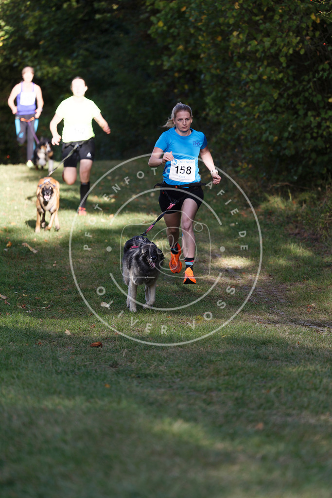 0L8A5186 | Hundefotografie, Tierfotograf, Pfotenfotografie, Fotoshooting Hund, Hunde Portrait, Hundesport, Hundeportraits, Heideshooting, Hunde, Sportfotograf, Hundefotograf, Turnierhundsport, THS,  - Realisiert mit Pictrs.com