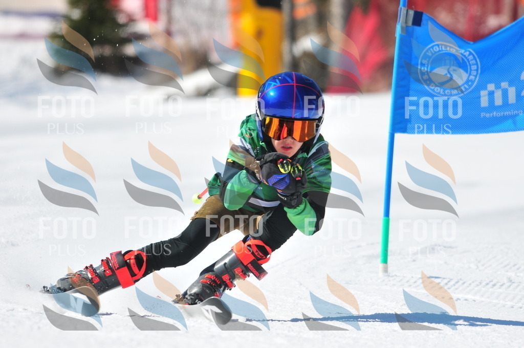 C3705 | holidayphoto