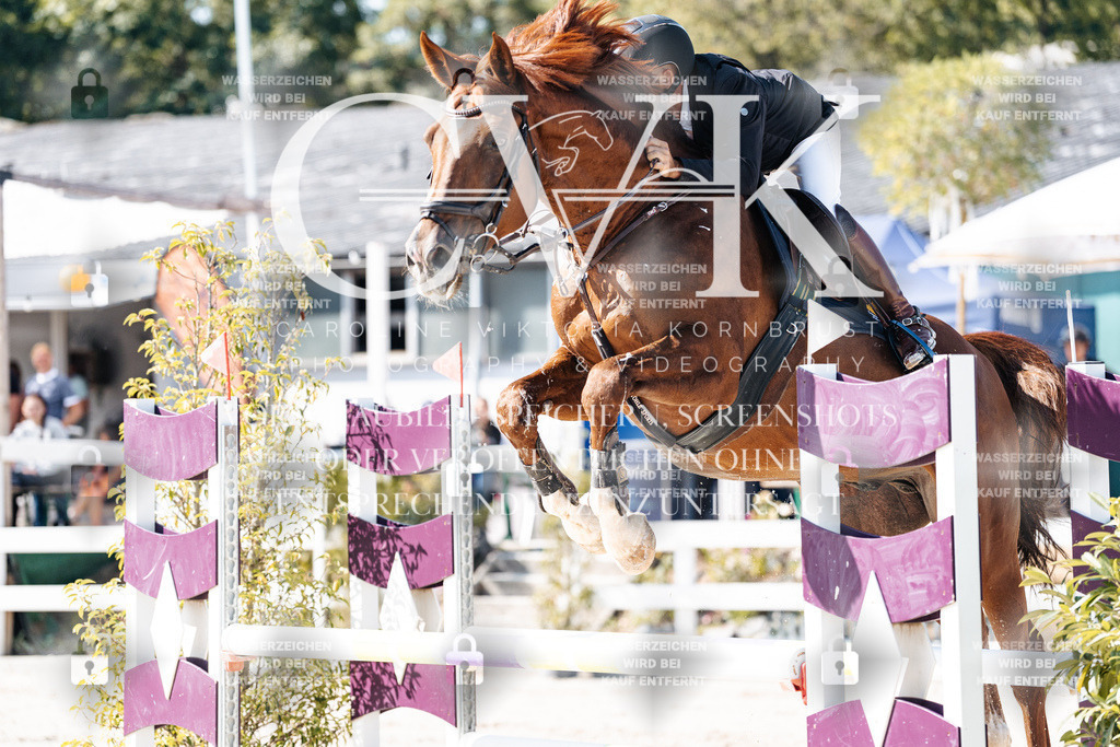 CK907886 | Turnierfotografie Pferdefotografie Trier Rheinland-Pfalz Pferdesport Reitsport Tierfotografie Sportfotografie Pferdevideo Pferdevideografie Equestrianvideography equestrianphotography  - Realisiert mit Pictrs.com