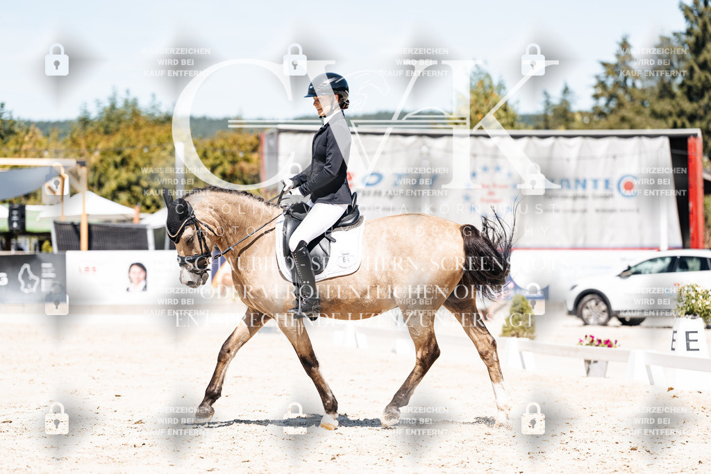CK909891 | Turnierfotografie Pferdefotografie Trier Rheinland-Pfalz Pferdesport Reitsport Tierfotografie Sportfotografie Pferdevideo Pferdevideografie Equestrianvideography equestrianphotography  - Realisiert mit Pictrs.com